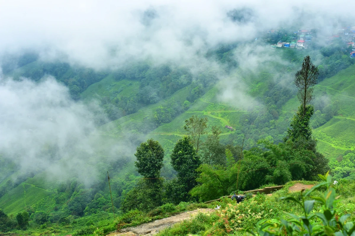 5N Package Darjeeling - Kalimpong - Gangtok In Budget